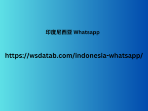 印度尼西亚 Whatsapp